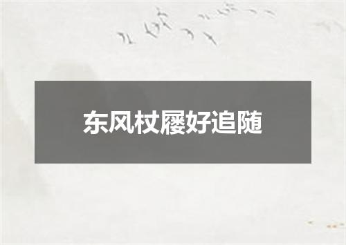 东风杖屦好追随