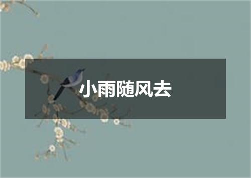 小雨随风去