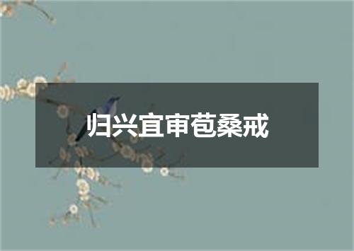 归兴宜审苞桑戒