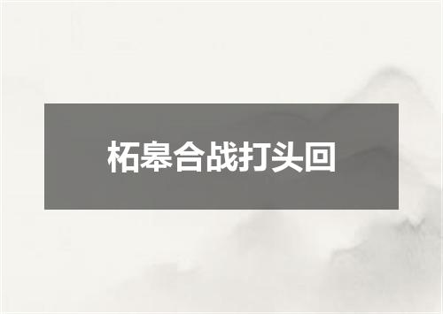 柘皋合战打头回