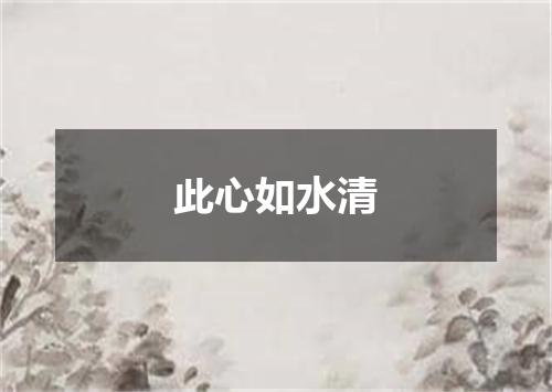此心如水清