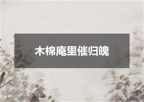木棉庵里催归魄