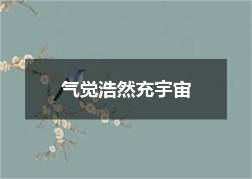 气觉浩然充宇宙