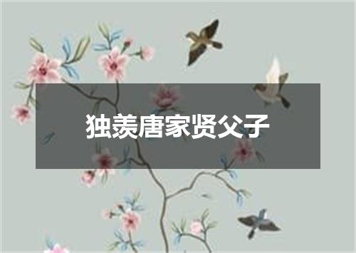 独羡唐家贤父子
