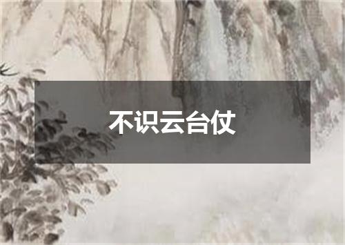 不识云台仗