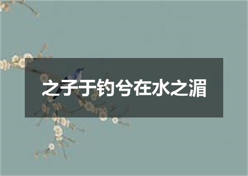 之子于钓兮在水之湄