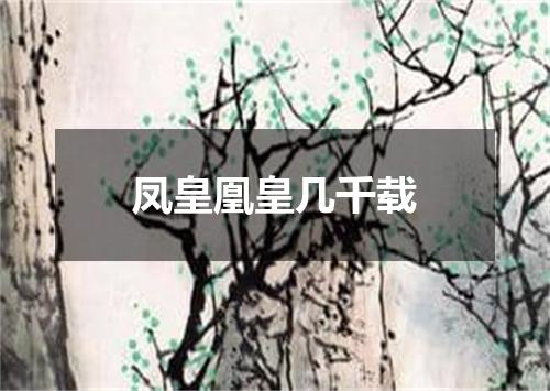 凤皇凰皇几千载