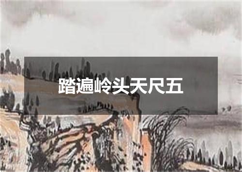 踏遍岭头天尺五