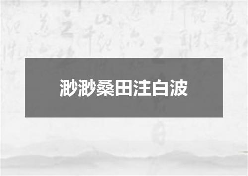 渺渺桑田注白波