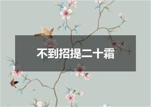 不到招提二十霜