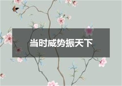 当时威势振天下