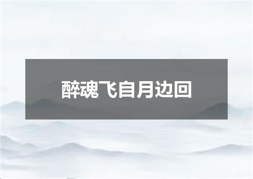 醉魂飞自月边回