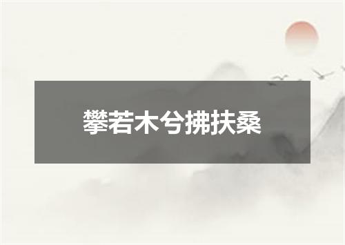 攀若木兮拂扶桑