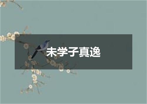 未学子真逸