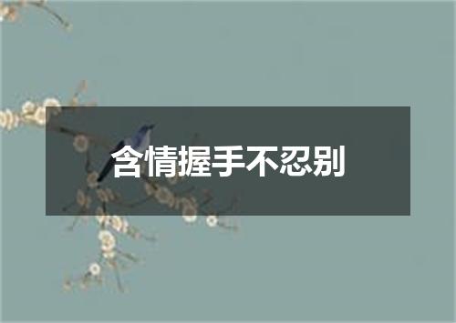 含情握手不忍别