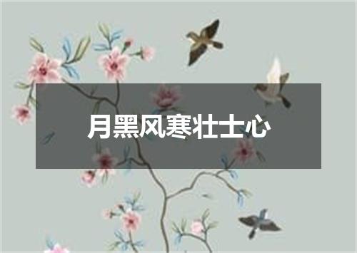 月黑风寒壮士心