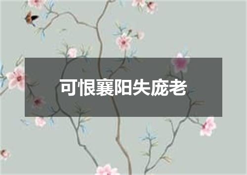可恨襄阳失庞老