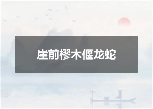 崖前樛木偃龙蛇