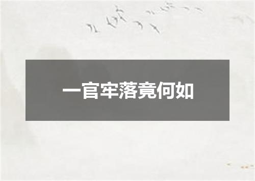 一官牢落竟何如