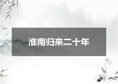 淮南归来二十年