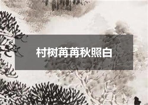 村树苒苒秋照白