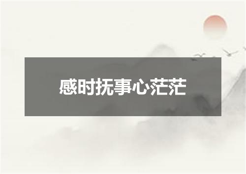 感时抚事心茫茫