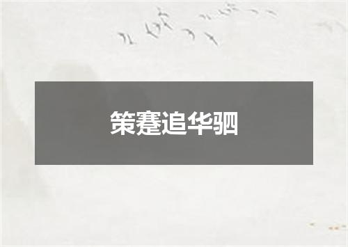 策蹇追华驷