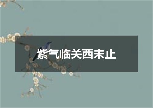 紫气临关西未止