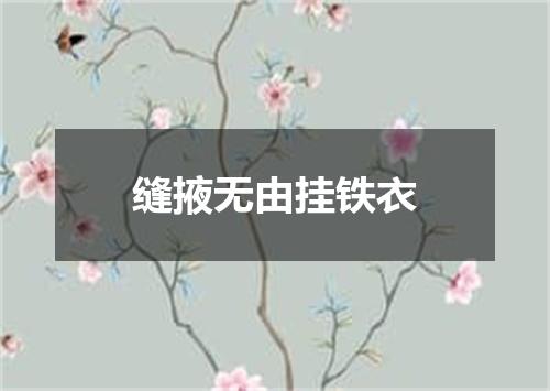 缝掖无由挂铁衣