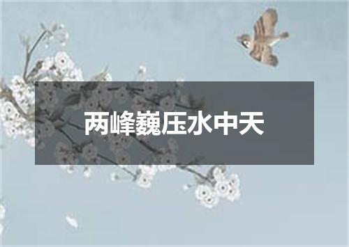 两峰巍压水中天
