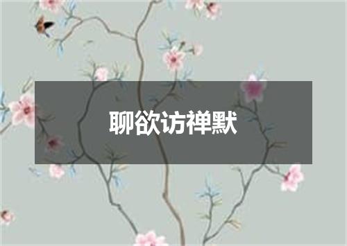 聊欲访禅默