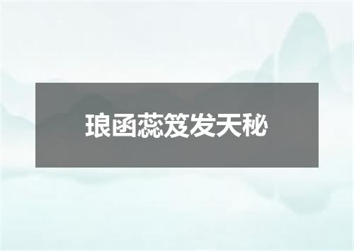 琅函蕊笈发天秘