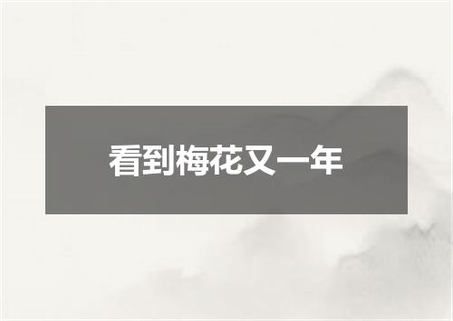 看到梅花又一年
