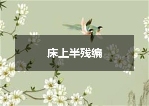 床上半残编