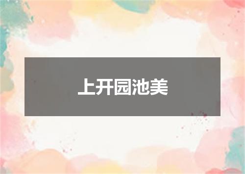 上开园池美
