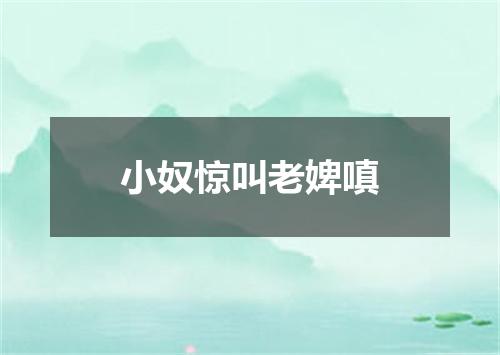 小奴惊叫老婢嗔