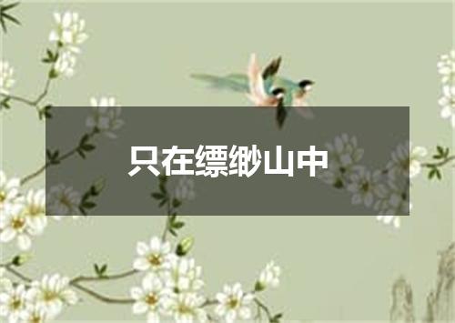 只在缥缈山中