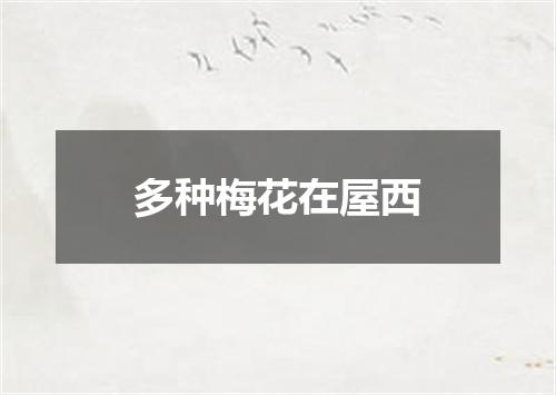 多种梅花在屋西
