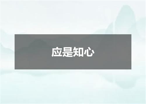 应是知心