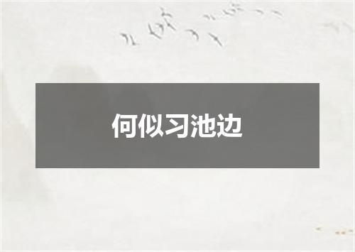 何似习池边