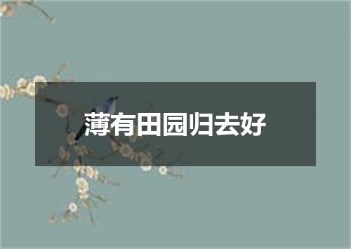 薄有田园归去好
