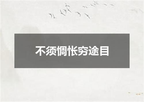 不须惆怅穷途目