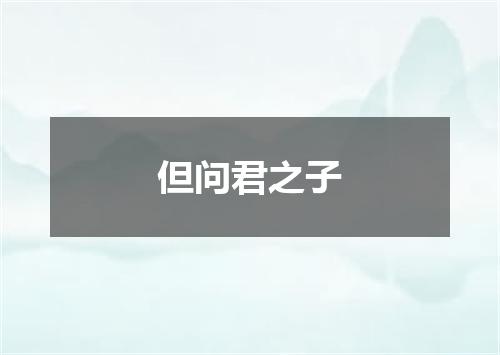 但问君之子