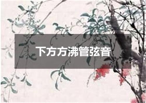 下方方沸管弦音