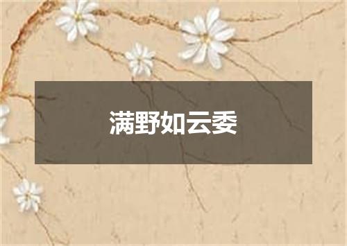 满野如云委