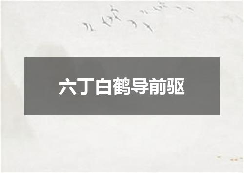 六丁白鹤导前驱