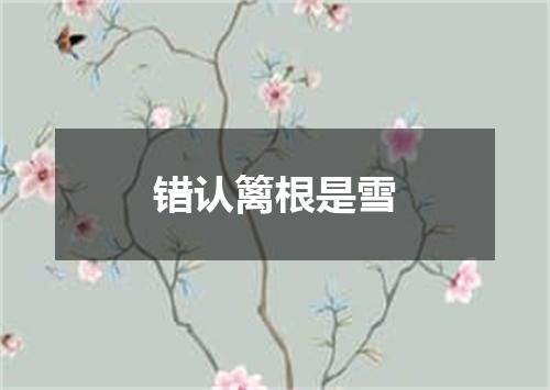 错认篱根是雪