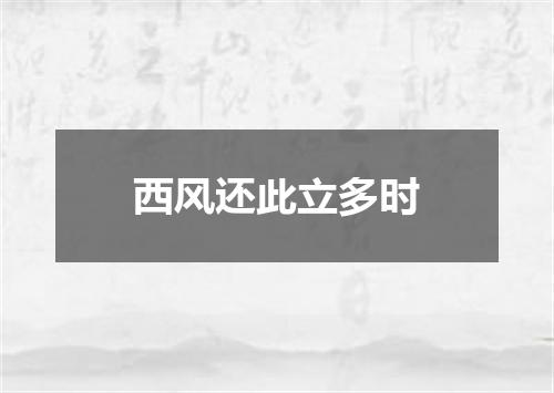 西风还此立多时