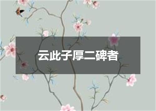 云此子厚二碑者