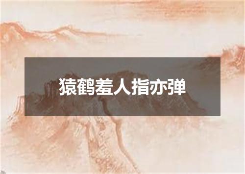 猿鹤羞人指亦弹